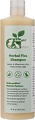 RenewedPet Flea & Tick Shampoo for Dogs, 16-fl oz bottle