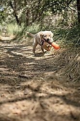 Carhartt Nylon Duck Canvas Training Bumper Dog Toy, Hunter Orange, Small slide 2 of 6