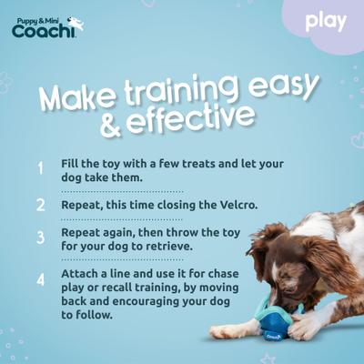 Show full view: Coachi Puppy & Mini Chase & Treat Treat Dispensing Dog Toy slide 5 of 7