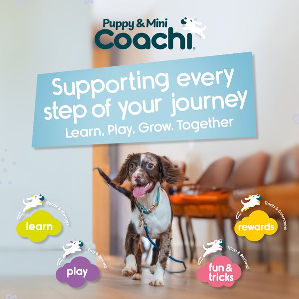 Coachi Puppy & Mini Chase & Treat Dispensing Dog Toy