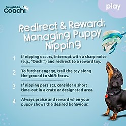Coachi Puppy & Mini Tuggi Spider Tug Dog Toy slide 2 of 6