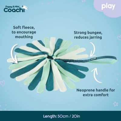 Show full view: Coachi Puppy & Mini Tuggi Spider Tug Dog Toy slide 4 of 7