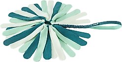 Coachi Puppy & Mini Tuggi Spider Tug Dog Toy