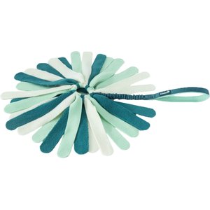 Coachi Puppy & Mini Tuggi Spider Tug Dog Toy