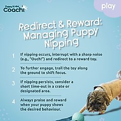 Coachi Puppy & Mini Tuggi Ball Dog Toy slide 2 of 6