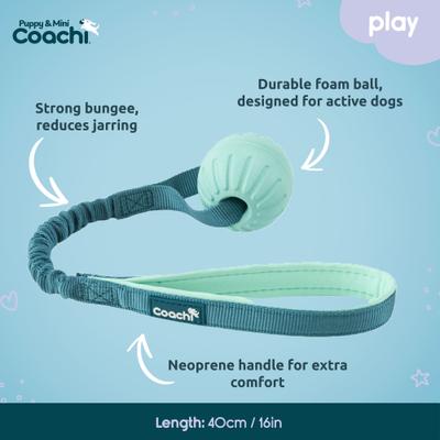 Show full view: Coachi Puppy & Mini Tuggi Ball Dog Toy slide 4 of 7