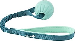 Coachi Puppy & Mini Tuggi Ball Dog Toy