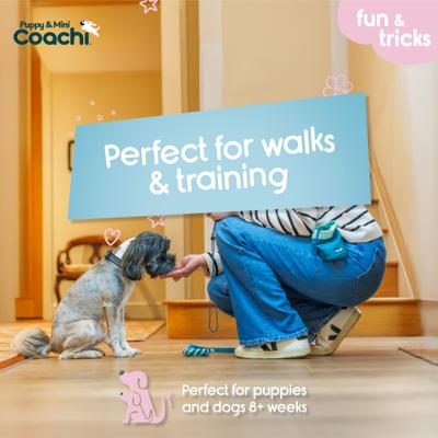 Show full view: Coachi Puppy & Mini Dog Treat Pouch, Teal & Mint slide 2 of 7