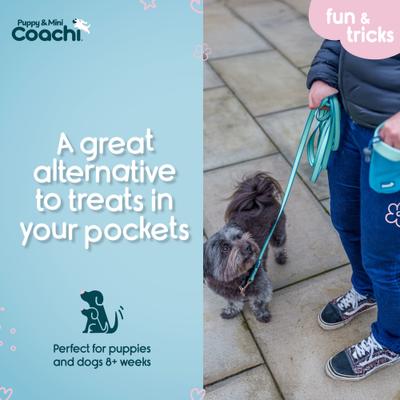 Show full view: Coachi Puppy & Mini Dog Treat Pouch, Teal & Mint slide 3 of 7
