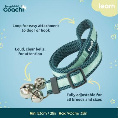 Show full view: Coachi Puppy & Mini Dog Training Bells, Teal & Mint slide 5 of 8