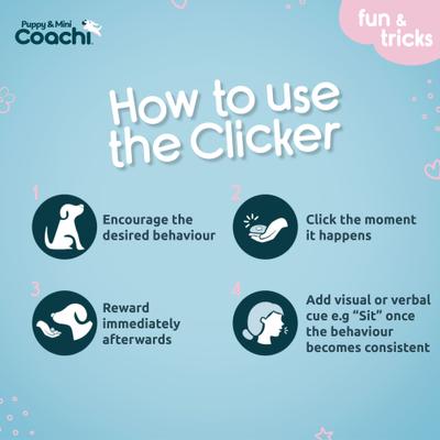 Show full view: Coachi Puppy & Mini Whizzclick Dog Training Clicker & Whistle, Teal & Mint slide 5 of 7