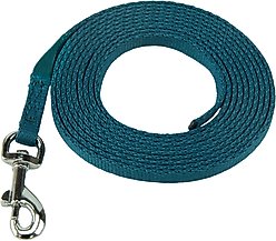 Coachi Puppy & Mini Dog Training Line, Teal