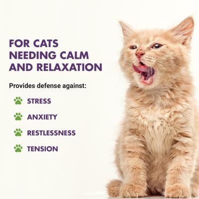 Show full view: Liquid-Vet Calm & Content Support Seafood Flavor Liquid Calming Supplement for Cats, 8-fl oz bottle slide 3 of 9