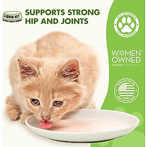 Liquid-Vet Hip & Joint Support Allergy-Friendly Unflavored Cat Supplement, 8-fl oz bottle
