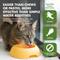 Show in main carousel: Liquid-Vet Hip & Joint Support Chicken Flavor Cat Supplement, 8-fl oz bottle slide 7 of 10