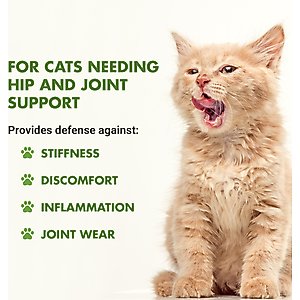 Liquid-Vet Hip & Joint Support Allergy-Friendly Unflavored Cat Supplement, 8-fl oz bottle