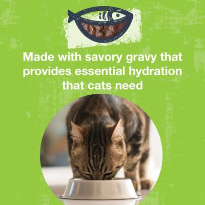 Show full view: KOHA Poké Bowl Tuna & Duck Entrée in Gravy Wet Cat Food, 3-oz pouch, case of 12 slide 6 of 8