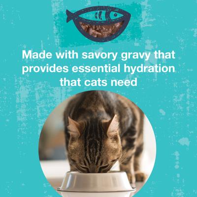 Show full view: KOHA Poké Bowl Variety Pack Wet Cat Food, 3-oz pouch, case of 12 slide 6 of 9