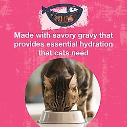 KOHA Poké Bowl Tuna & Shrimp Entrée in Gravy Wet Cat Food, 3-oz pouch, case of 12 slide 2 of 6