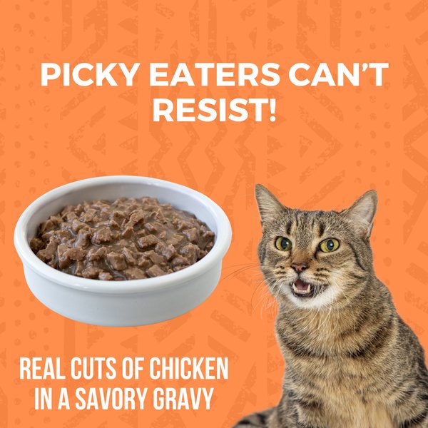 KOHA Minimal Ingredient Turkey Stew Grain-Free Wet Cat Food