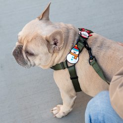 Jiby Dog Crew Snowman Jiby Dog Collar Accessory slide 2 of 5