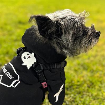 Show full view: Jiby Dog Crew Ghost Jiby Dog Collar Accessory slide 4 of 7