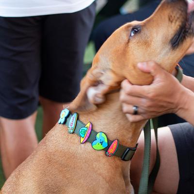 Show full view: Jiby Dog Crew UFO Jiby Dog Collar Accessory slide 5 of 7