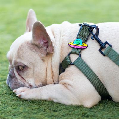 Show full view: Jiby Dog Crew UFO Jiby Dog Collar Accessory slide 4 of 7