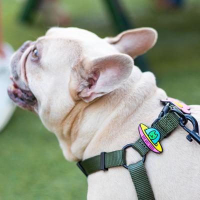 Show full view: Jiby Dog Crew UFO Jiby Dog Collar Accessory slide 3 of 7