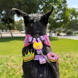 Jiby Dog Crew Smiley Jiby Dog Collar Accessory slide 2 of 5