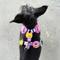 Show in main carousel: Jiby Dog Crew Smiley Jiby Dog Collar Accessory slide 2 of 5
