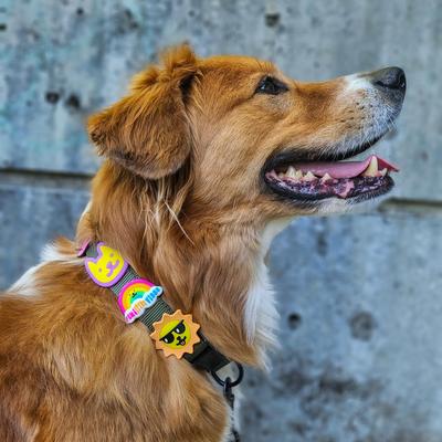 Show full view: Jiby Dog Crew Suns Out Jiby Dog Collar Accessory slide 3 of 5