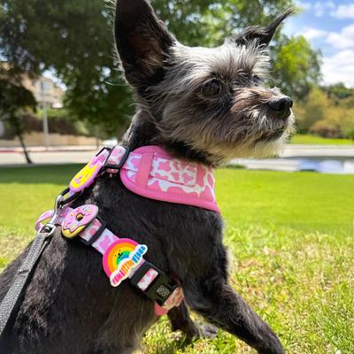 Show full view: Jiby Dog Crew Rainbow Jiby Dog Collar Accessory slide 3 of 5