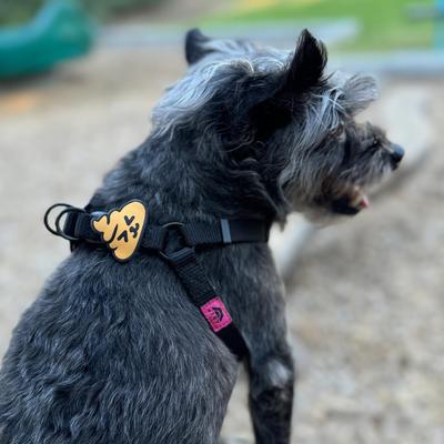 Show full view: Jiby Dog Crew Poop Jiby Dog Collar Accessory slide 2 of 4