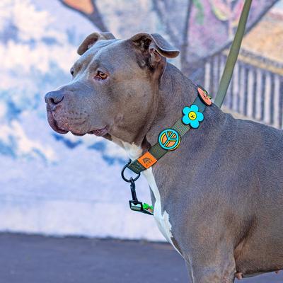 Show full view: Jiby Dog Crew Peace Jiby Dog Collar Accessory slide 2 of 4