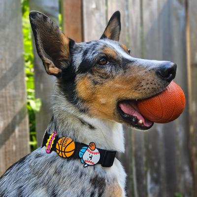 Show full view: Jiby Dog Crew Basketball Jiby Dog Collar Accessory slide 2 of 5