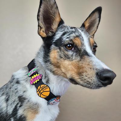 Show full view: Jiby Dog Crew Basketball Jiby Dog Collar Accessory slide 3 of 5