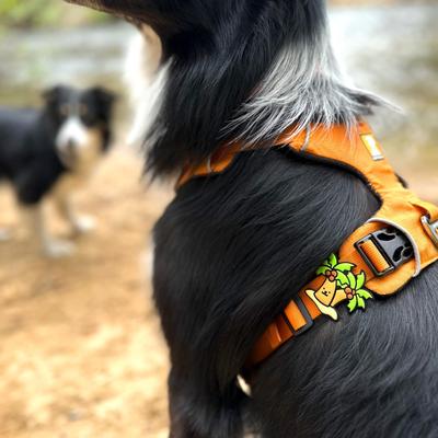 Show full view: Jiby Dog Crew Palm Tree Jiby Dog Collar Accessory slide 3 of 6