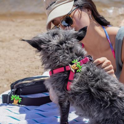 Show full view: Jiby Dog Crew Palm Tree Jiby Dog Collar Accessory slide 2 of 6