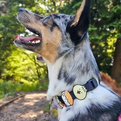 Show full view: Jiby Dog Crew Bao Jiby Dog Collar Accessory slide 2 of 4