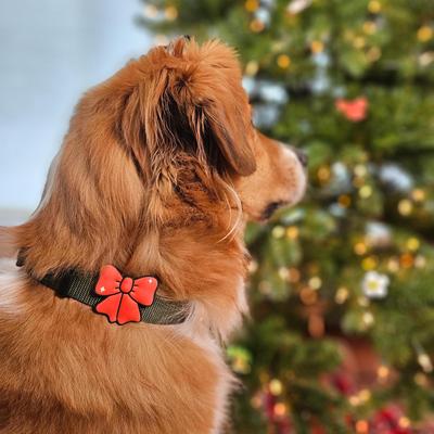 Show full view: Jiby Dog Crew Ribbon Jiby Dog Collar Accessory, Red slide 5 of 7