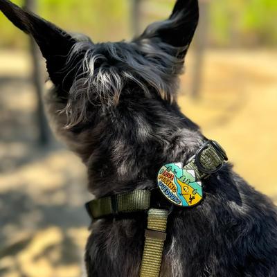 Show full view: Jiby Dog Crew Peeing Outdoors Jiby Dog Collar Accessory slide 3 of 7