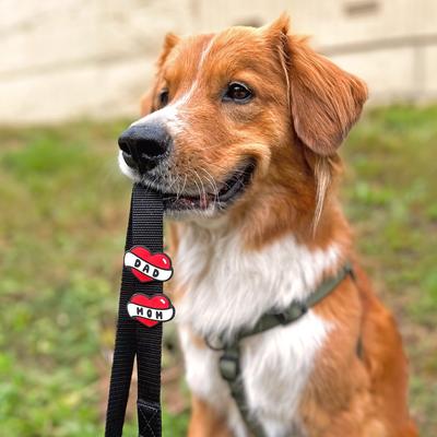 Show full view: Jiby Dog Crew Dad Tattoo Jiby Dog Collar Accessory slide 3 of 5