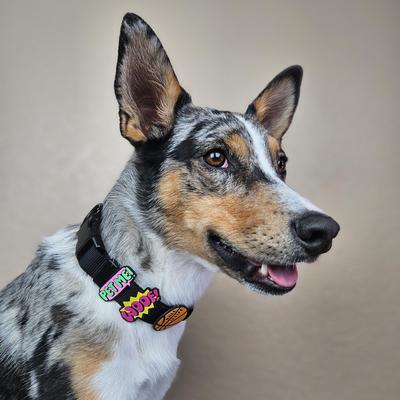 Show full view: Jiby Dog Crew Pet Me Jiby Dog Collar Accessory slide 2 of 5