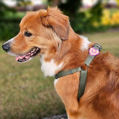 Show full view: Jiby Dog Crew Rescue Jiby Dog Collar Accessory, Purple slide 4 of 6