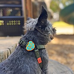 Jiby Dog Crew Rescue Jiby Dog Collar Accessory, Orange slide 2 of 4