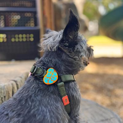 Show full view: Jiby Dog Crew Rescue Jiby Dog Collar Accessory, Orange slide 3 of 5