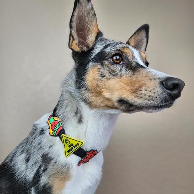 Show full view: Jiby Dog Crew Do Not Pet Jiby Dog Collar Accessory slide 3 of 6
