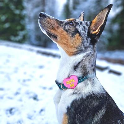 Show full view: Jiby Dog Crew Cute AF Jiby Dog Collar Accessory, Pink slide 2 of 7