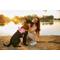 Show in main carousel: Lumi Pawtners Lumi One Dog Harness, Pink, Large: 16 to 29-in chest slide 5 of 12